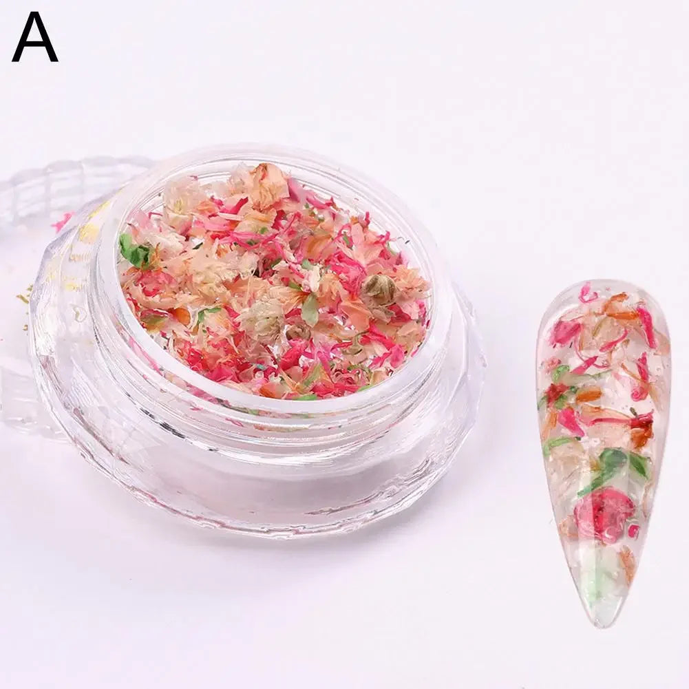 Nail Art DIY Decorations Dried Flower Decorations For Nails Art Flower Beauty Salon Decor