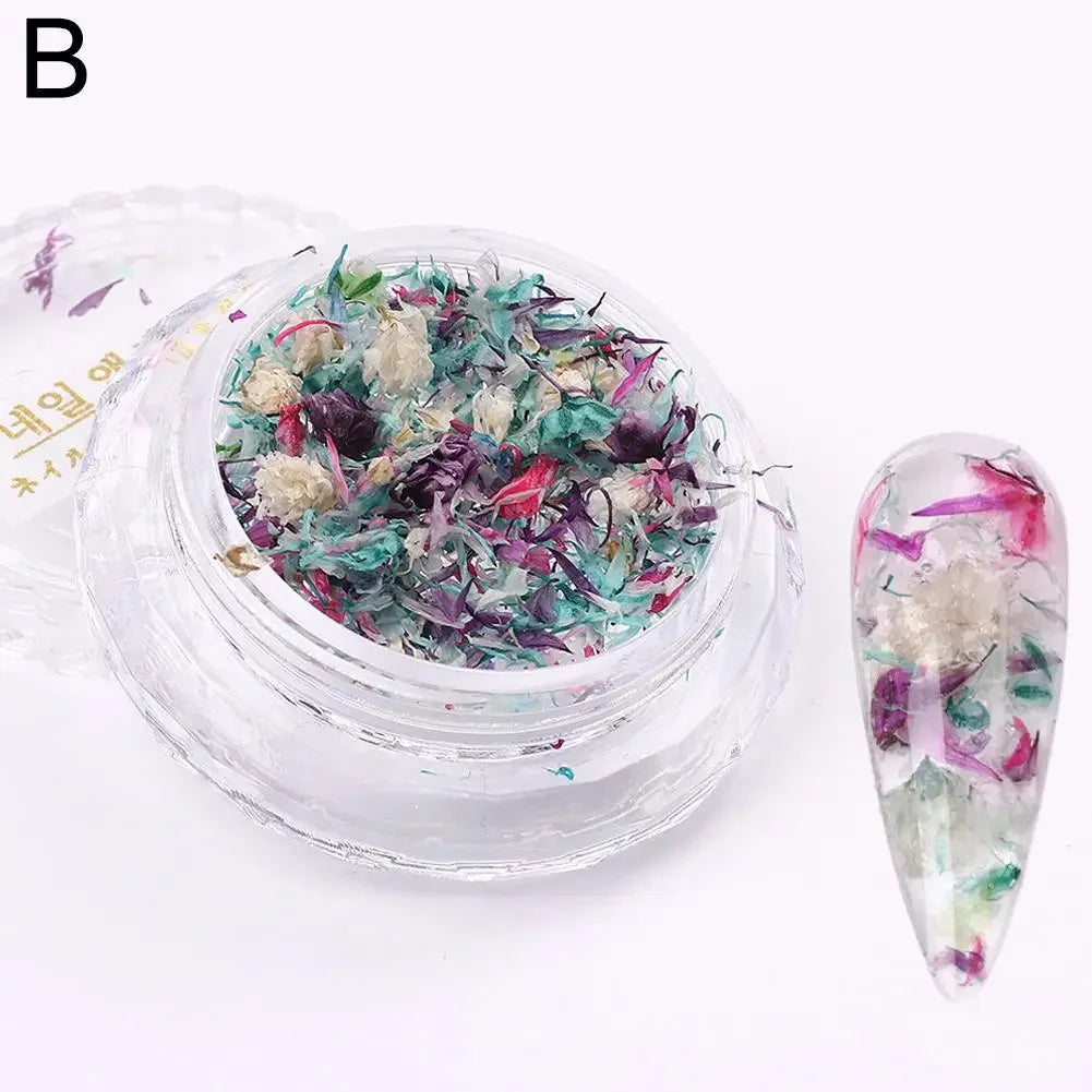 Nail Art DIY Decorations Dried Flower Decorations For Nails Art Flower Beauty Salon Decor