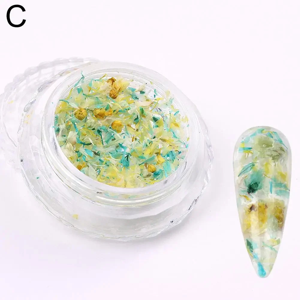 Nail Art DIY Decorations Dried Flower Decorations For Nails Art Flower Beauty Salon Decor